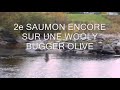SAUMON D AUTOMNE