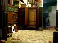 Al Bowlly Sings It's All Forgotten Now with Ray Noble