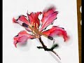 Digital Watercolor: Wetting a Picture