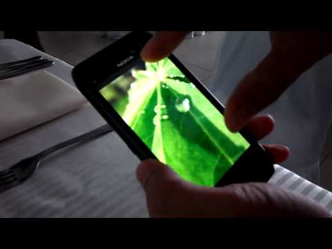 Immagine anteprima YouTube