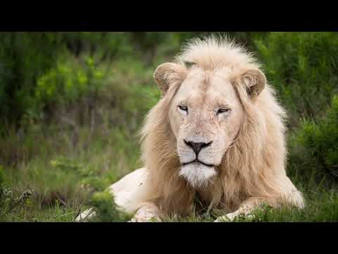 Take an adventure in Makana