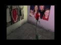 In memory of Sharon Sheedy
