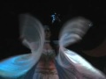 BELLYDANCE FOR DUMMIES - ALI DI ISIDE
