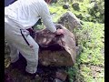 Ya tengo la piedra... ¿donde esta el meshero? Ya tengo la piedra... ¿donde esta el meshero?