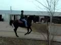 Thunder Cantering