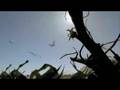 Giant of the Skies - An Ornithocheirus Tribute