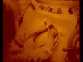 Esther Levine\ Esther Levine\