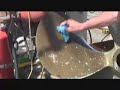 Storm Force Bird dropping cleaning