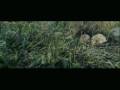 Razorblade