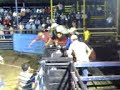jaripeo