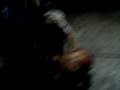 videos de street luchas