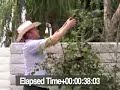 ArborStake Installaion ArborStake Installaion
