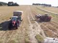 Baling and loading straw
