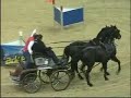 OTP Bank Lovas Világkupa / Budapest Horse Show - Driving OTP Bank Lovas Világkupa / Budapest Horse Show - Driving
