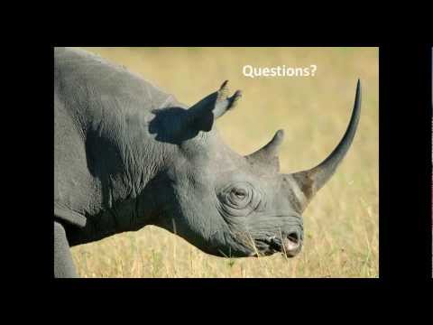 Recording of Live Update on the Rhino Poaching Crisis with AWF’s CEO Recording of Live Update on the Rhino Poaching Crisis with AWF’s CEO