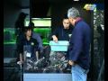 Takashi Amano -how is made -nature aquarium