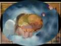 videos de Trouver dans ma vie ta présence