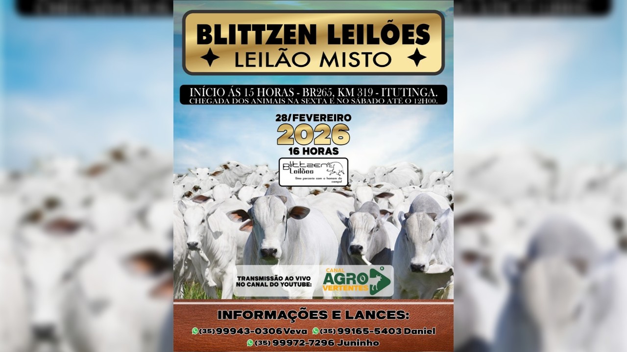 LEILÃO MISTO BLITTZEN LEILÕES  - ITUTINGA/MG - 28/02/2026