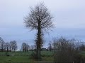 Verte campagne bretonne