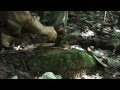 Sobrevivendo � maioria das coisas - 1� Dia ( 1� Temporada)