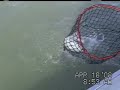 Walleye Fishing
