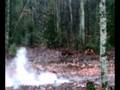 videos de boom goes the dynomite