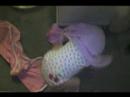 miribelle-the-puppies-.html