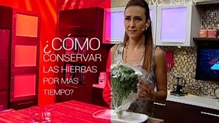 ¿Cómo Conservar las Hierbas por Más Tiempo? (TD) ¿Cómo Conservar las Hierbas por Más Tiempo? (TD)