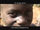 Spot Charity - www.assamicispagnolli.org