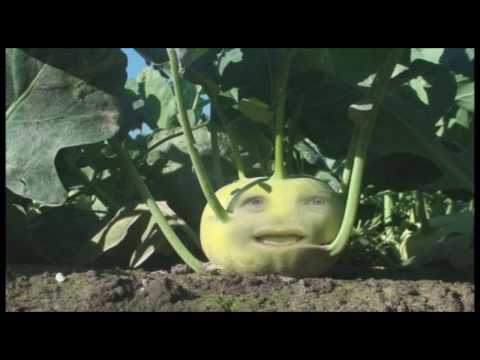 how to grow and harvest kohlrabi