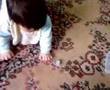 mehmet ata buz video