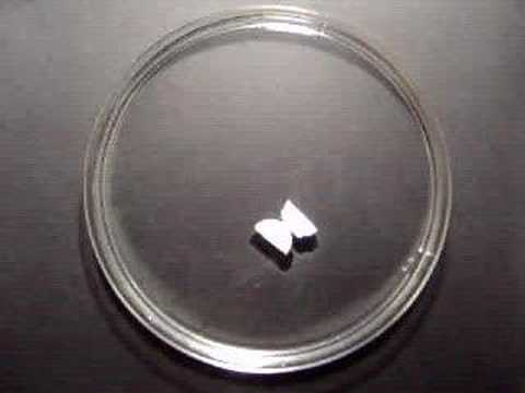 Capillary Action - The Movie