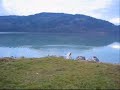 RC Helicopter Crash