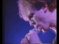 Julian Cope - Reynard The Fox (Live) Julian Cope - Reynard The Fox (Live)