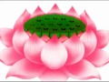 Cư Sĩ Trẻ Họ Lý Vãng Sanh 1/4