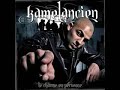kamelancien-porte-pa