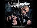 kamelancien-porte-pa