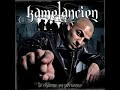 kamelancien-porte-pa