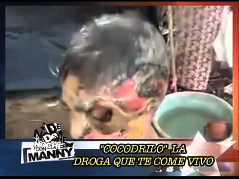KROKODIL COCODRILO DROGA