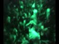 dj-drastic-live-avalon-nightclub-nyc-exclusive-pt-2.html