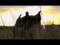 Official Revenge of the Cetaceans Teaser Trailer Two
