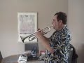 bluesy trumpet