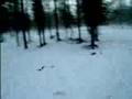 videos de da babbo natale al circlo polare artico
