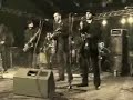Gang Olsena "Białe Myszy, Dzikie Koty" live
