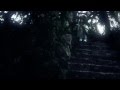 Delious My Rose Video and Lyrics