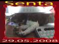 videos de senta.wmv