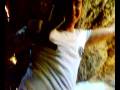 videos de bala..mp4