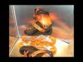 Seba FR1 orange Ver Video