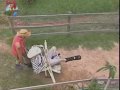 Igor ganha passeio no carrinho de mão