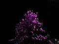 Albert Ayler Tribute \"Ghosts\" Albert Ayler Tribute \"Ghosts\"